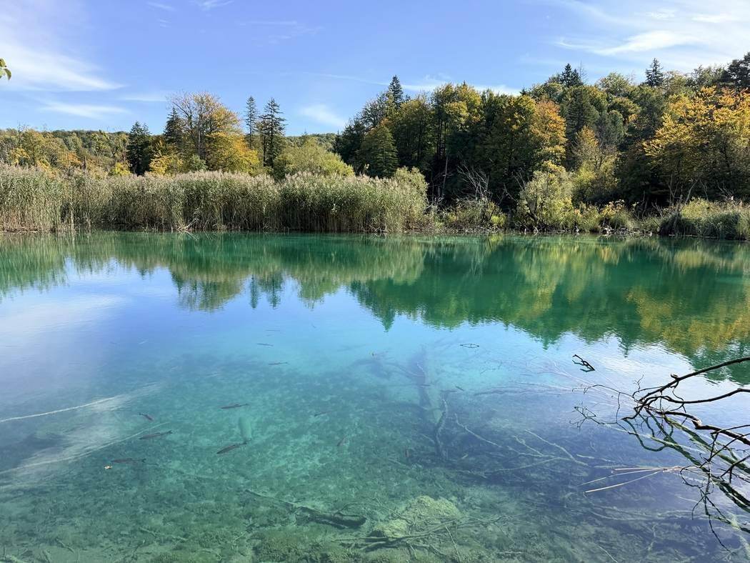 Agua transparente en los Lagos de Plitvice