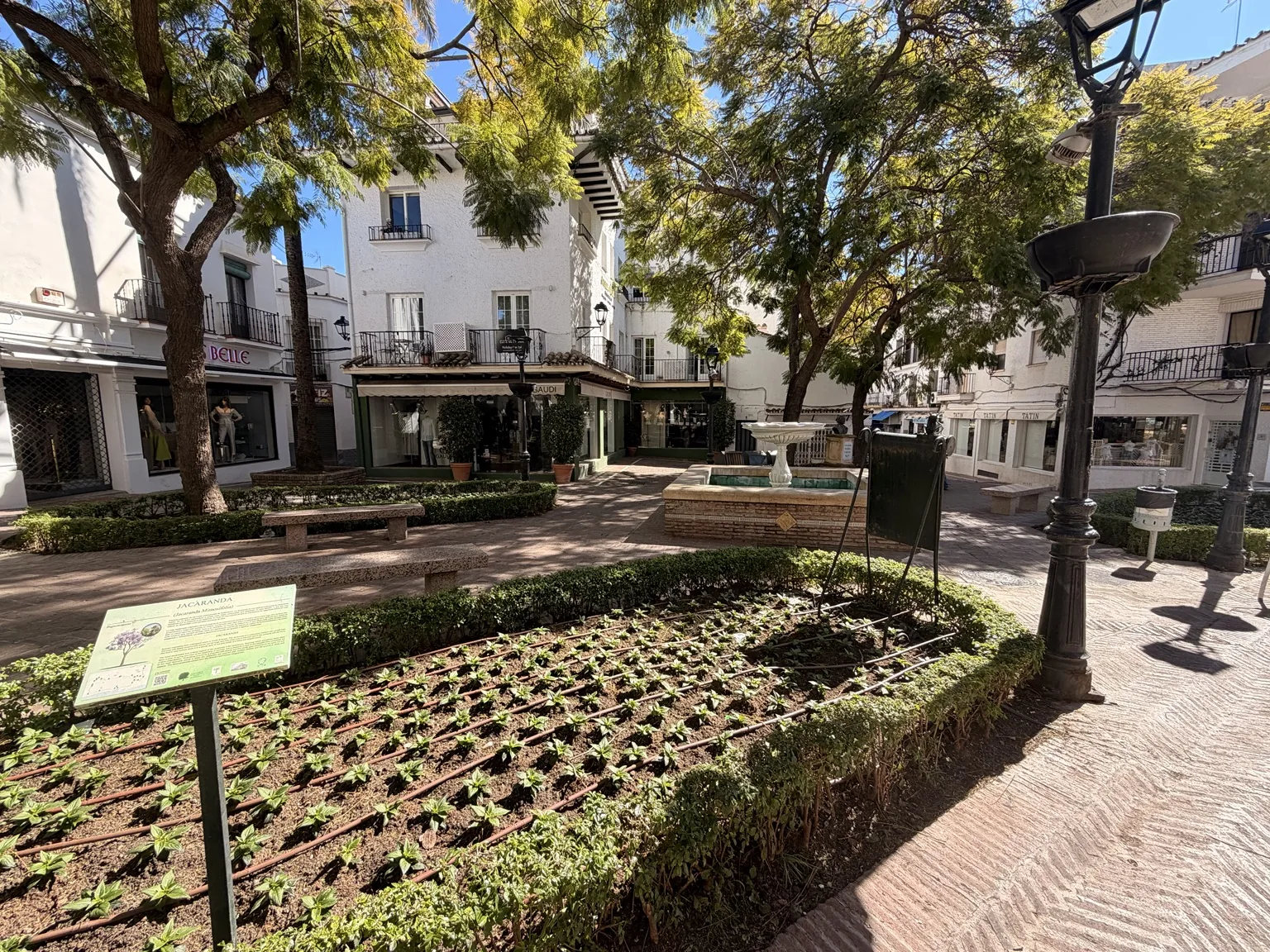 Casco antiguo