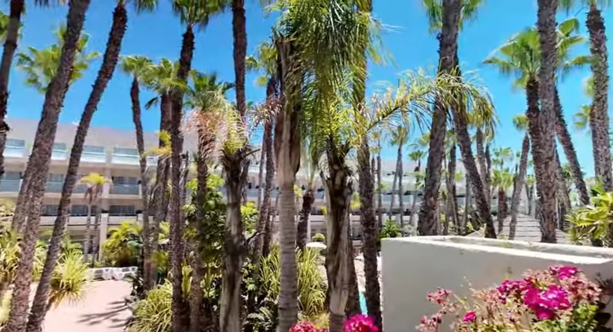 Jardines y palmeras del Tabaiba Princess