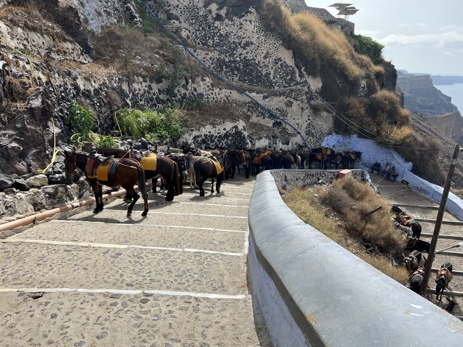 Burros en las escaleras del Puerto Viejo de Fira