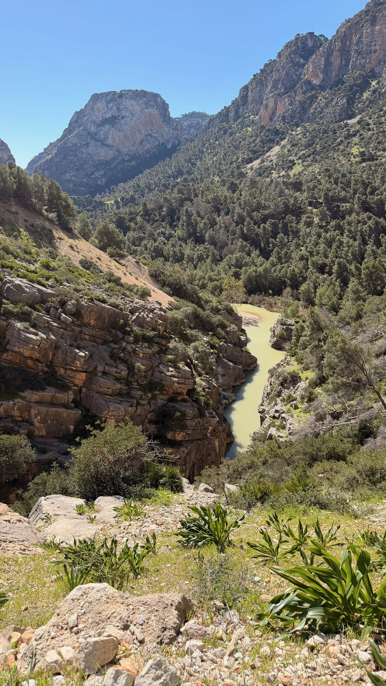Paisaje abierto del Valle del Hoyo