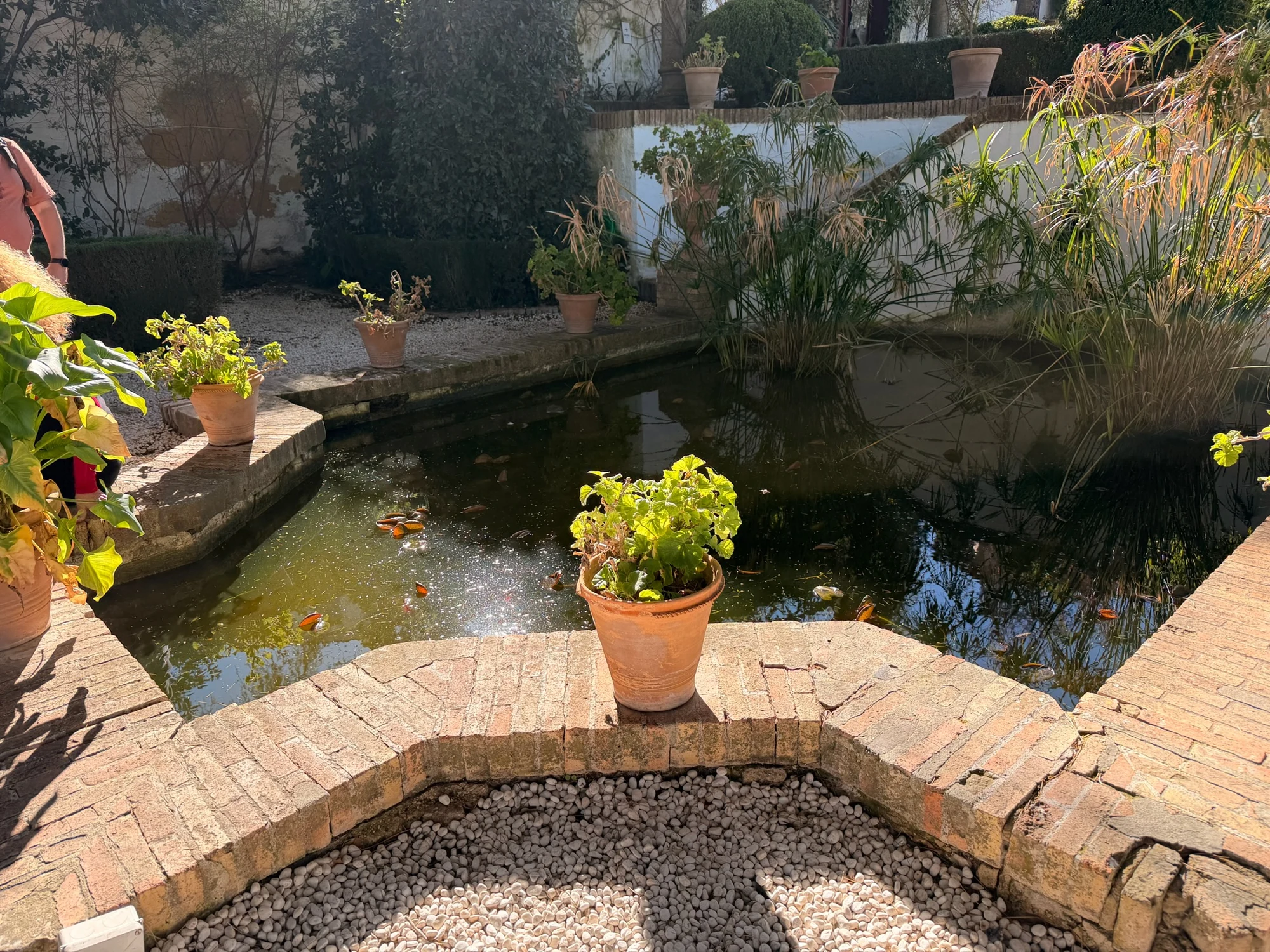 Jardines de la Casa del Rey Moro