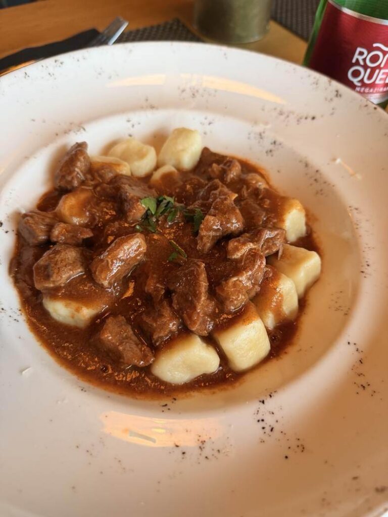 Goulash con ñoquis servido durante nuestra comida en Degenija