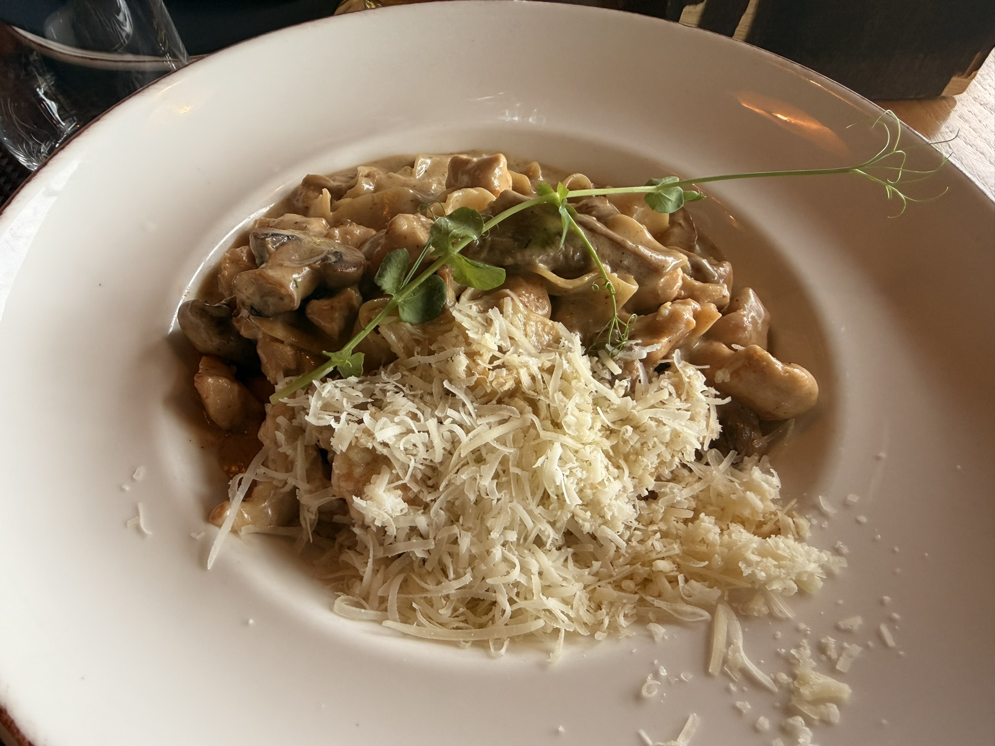Pasta o ñoquis con salsa cremosa de setas servidos en Degenija