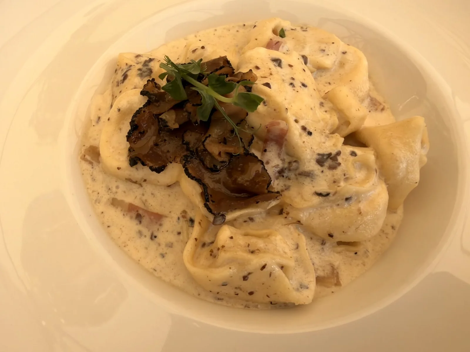Uno de los platos de nuestra comida en Dubravka 1836