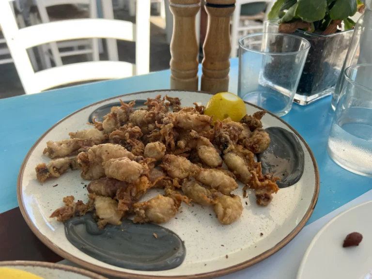 Plato de nuestra comida en Fisherman, Ano Mera