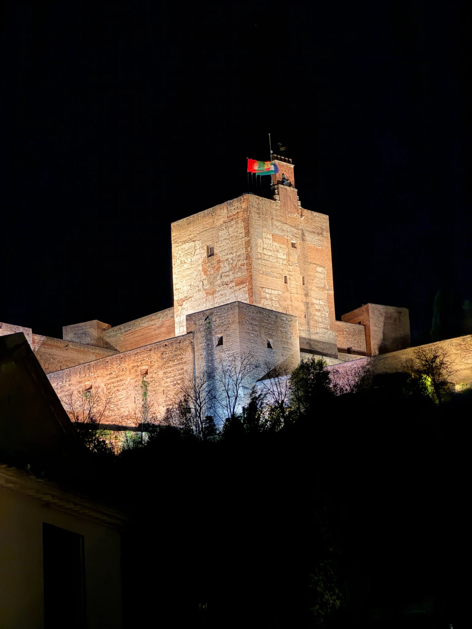 Detalle nocturno de la Alhambra iluminada
