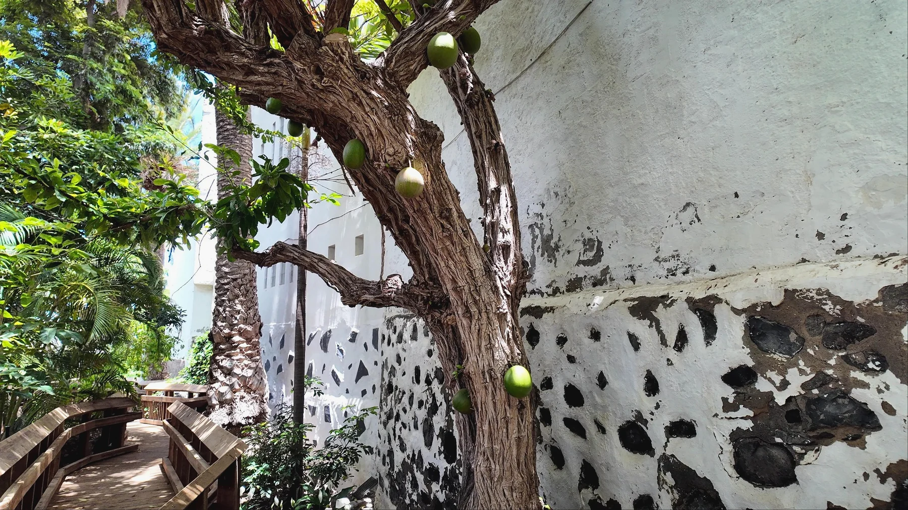 Árboles y vegetación del Huerto de las Flores