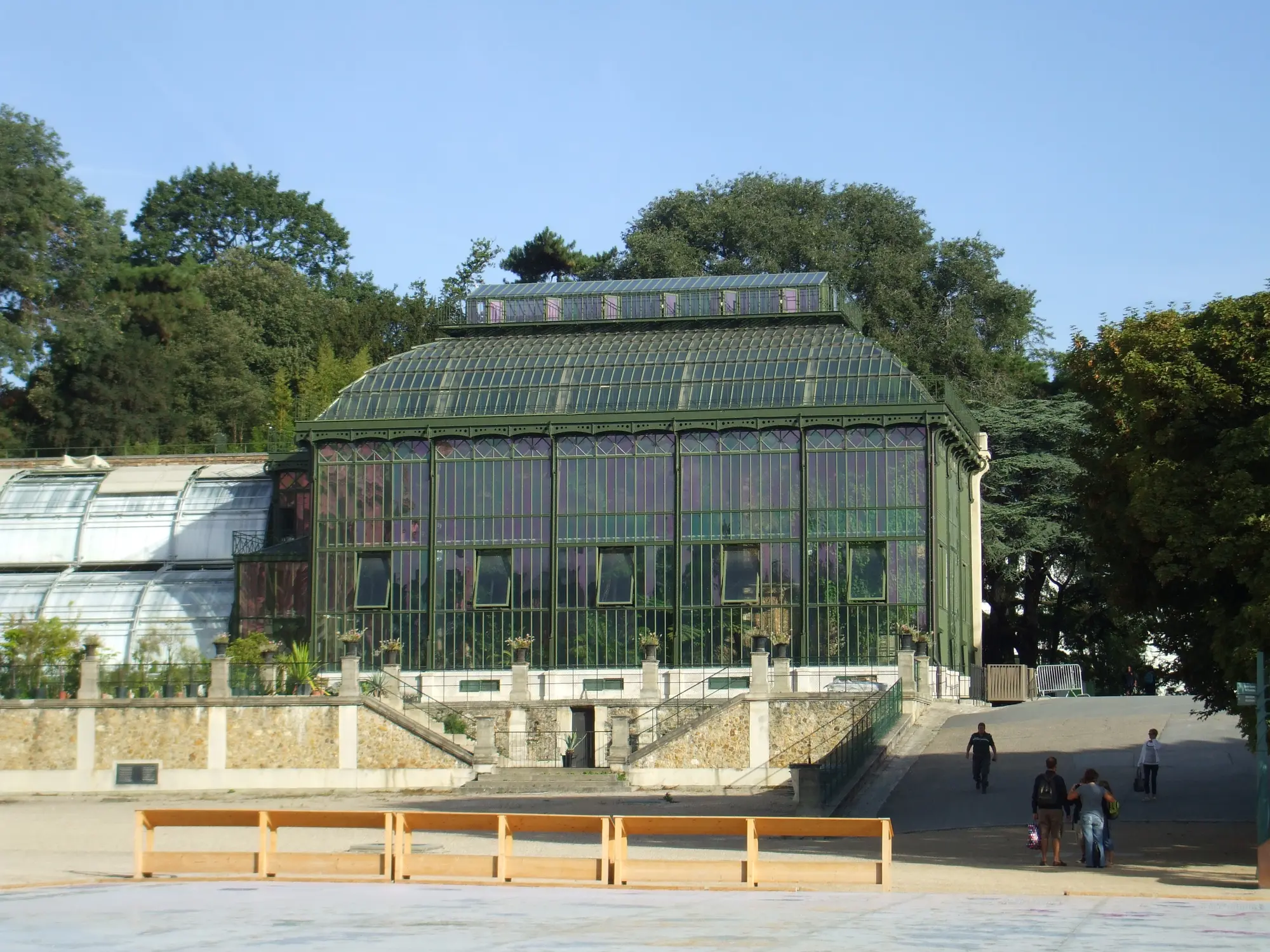 Invernadero del Jardin des Plantes de París