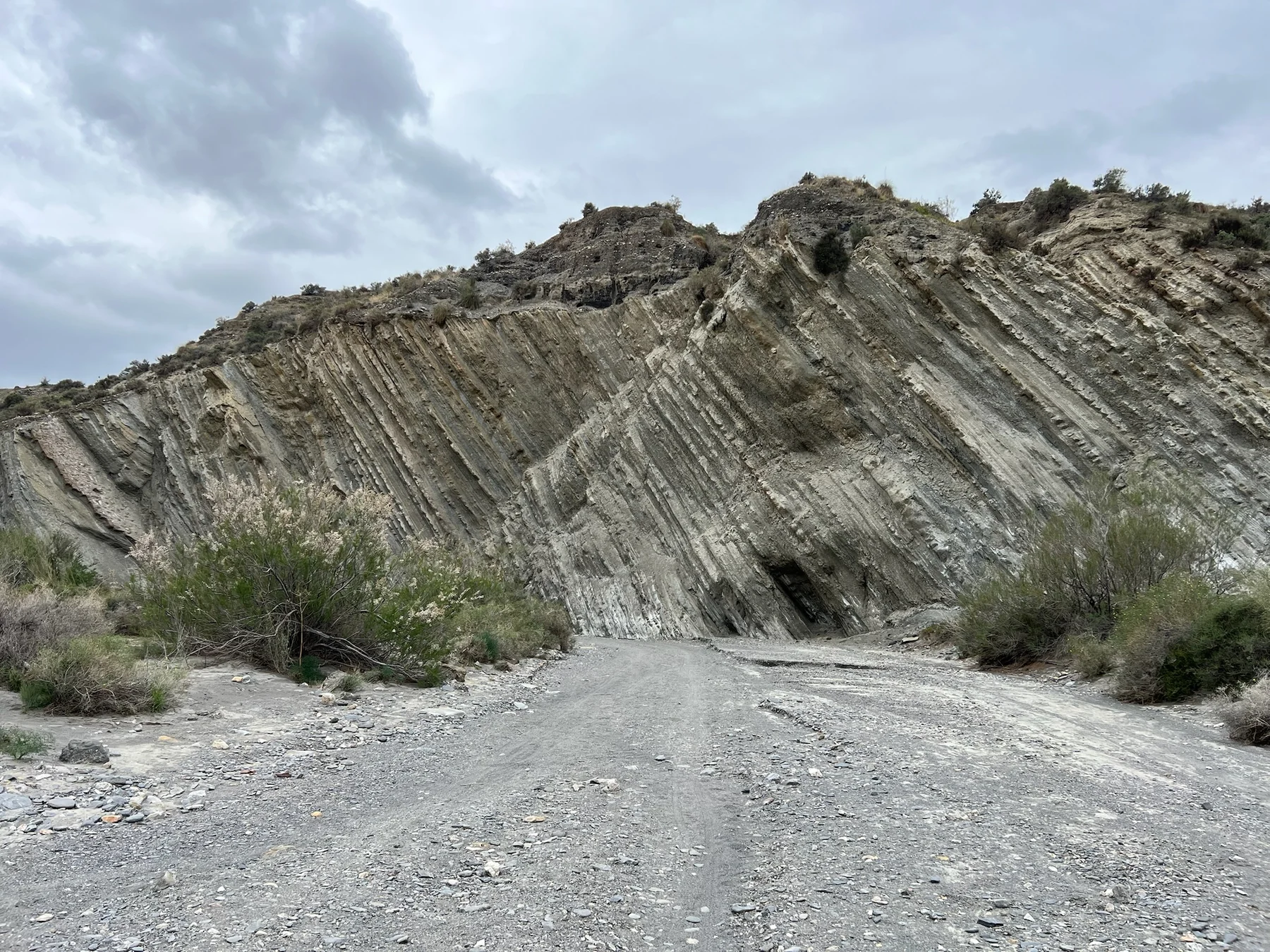 Estratos y relieves erosionados durante nuestra ruta por el Desierto de Tabernas