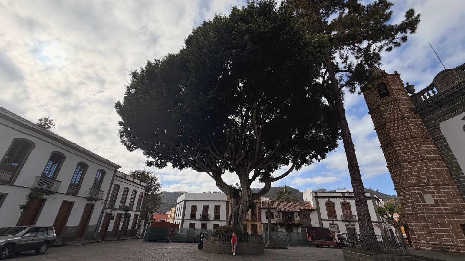 Árbol y arquitectura tradicional en el centro de Teror