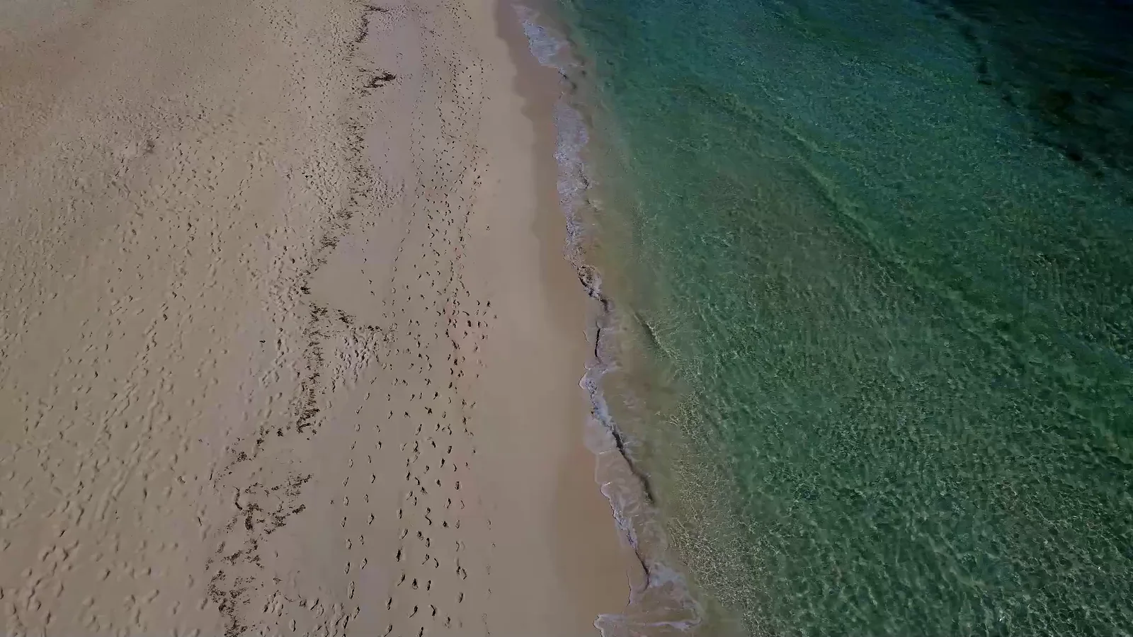 Arena, costa y agua transparente vistas desde el aire en Corralejo