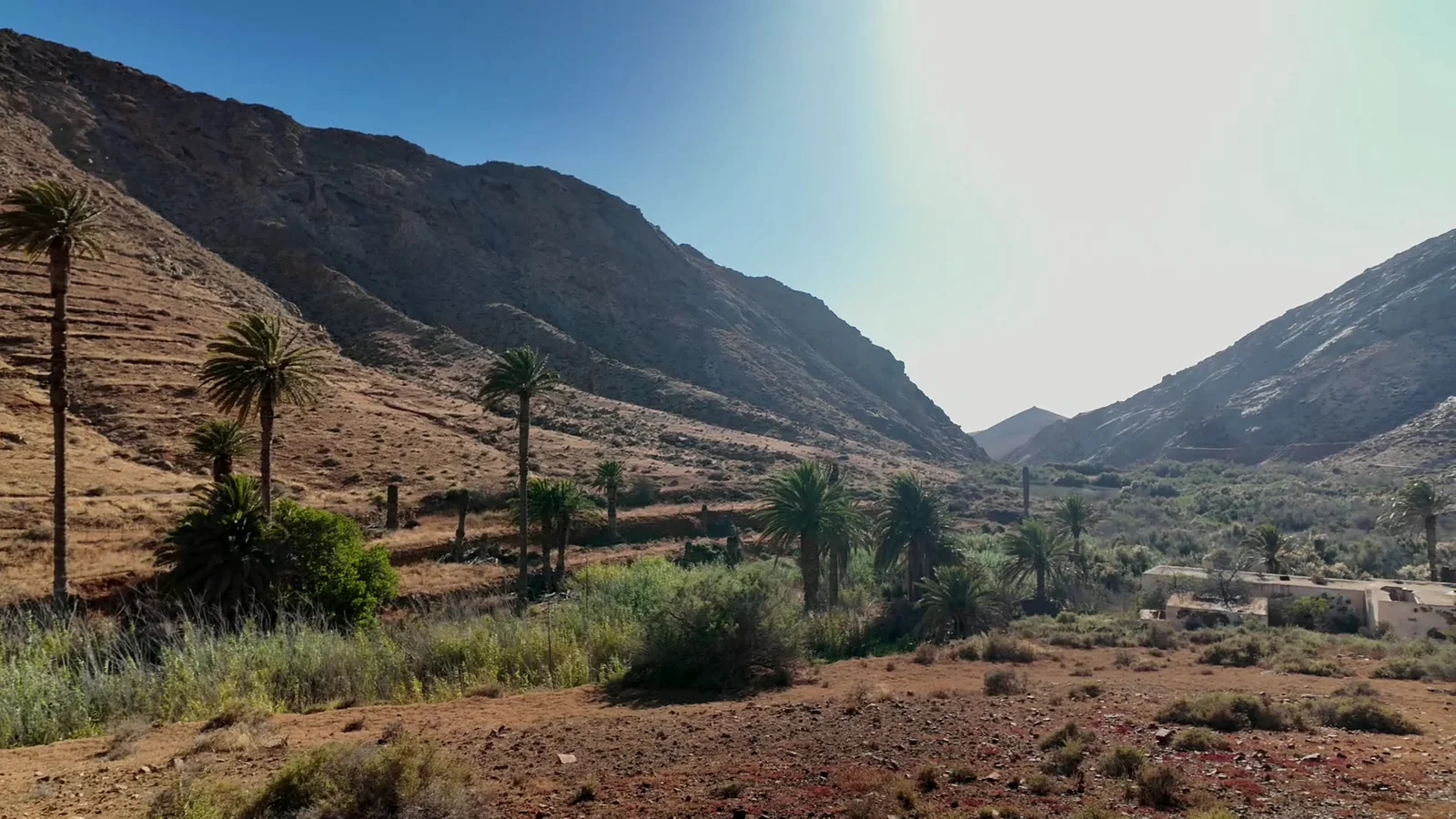 Valle y palmeral de Vega de Río Palmas entre montañas