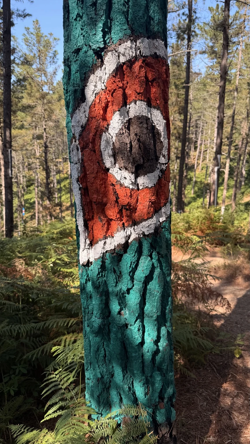 Detalle de una pintura sobre un tronco del Bosque de Oma