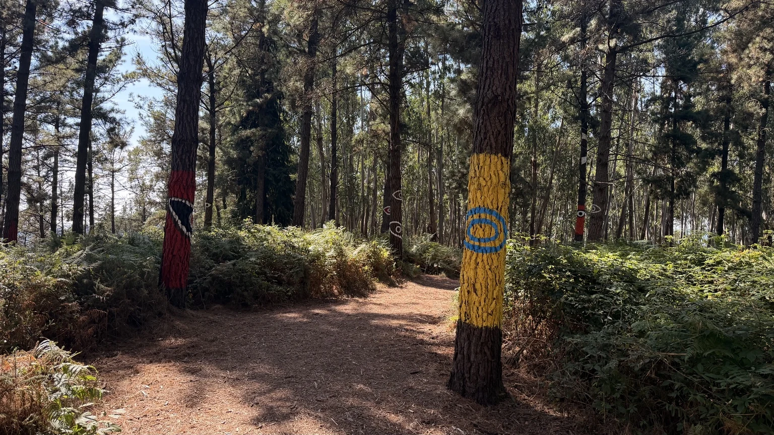 Sendero del Bosque de Oma con troncos pintados y motivos que cambian según el punto de vista