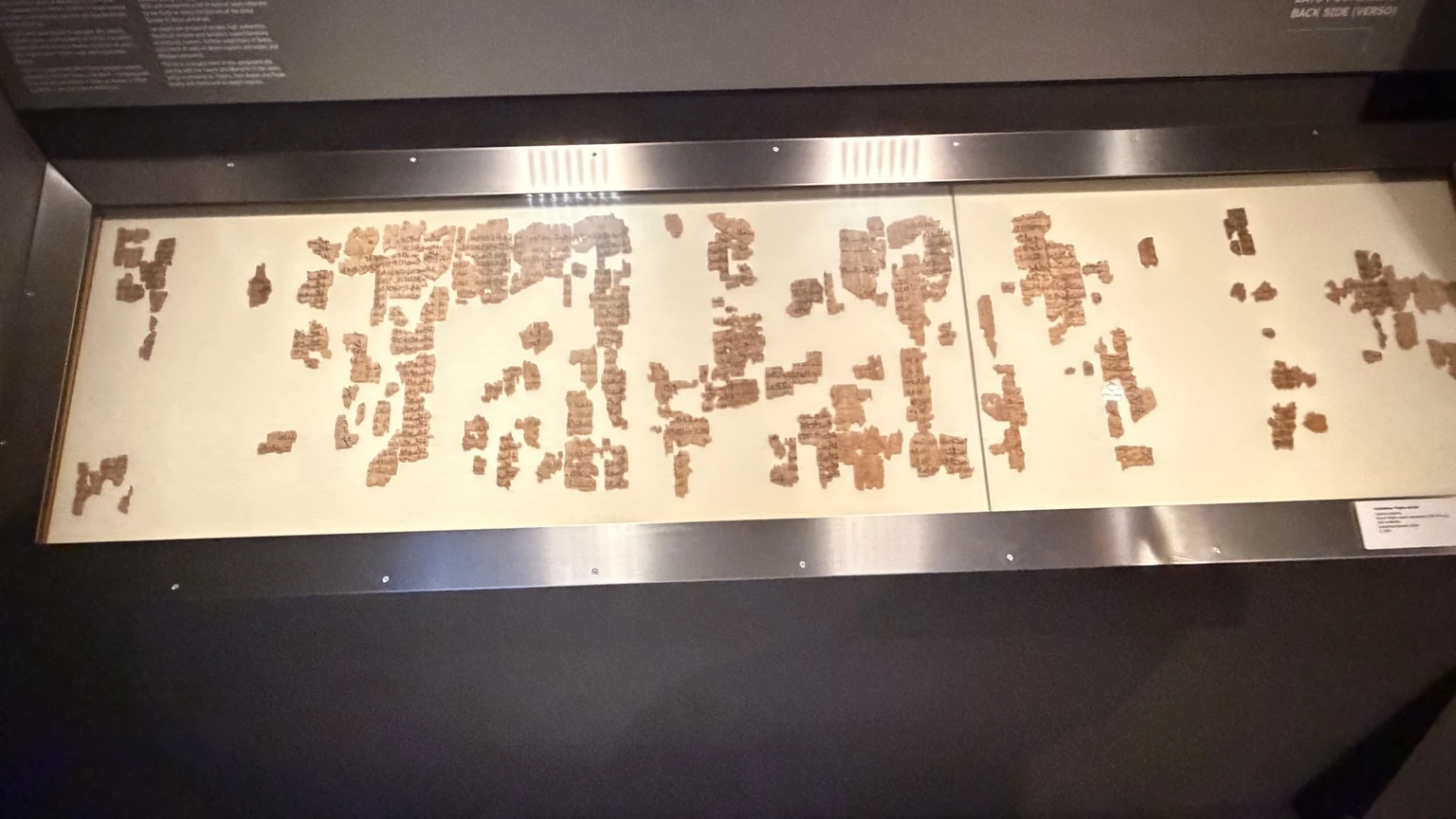 Fragmentos de papiros expuestos en el Museo Egizio de Turín